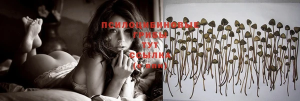 стаф Балахна