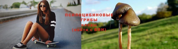 стаф Балахна