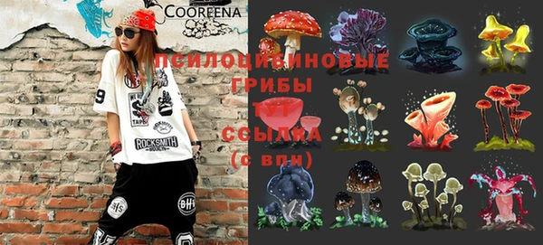 PSILOCYBIN Балабаново