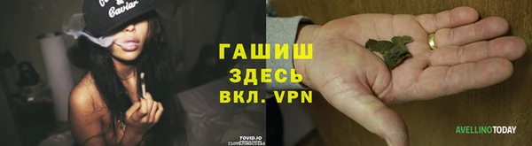 стаф Балахна