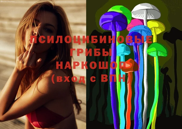 PSILOCYBIN Балабаново
