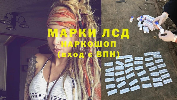 сатива Покровск