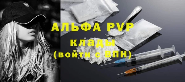 стаф Балахна