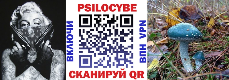 Псилоцибиновые грибы мухоморы  Сретенск 